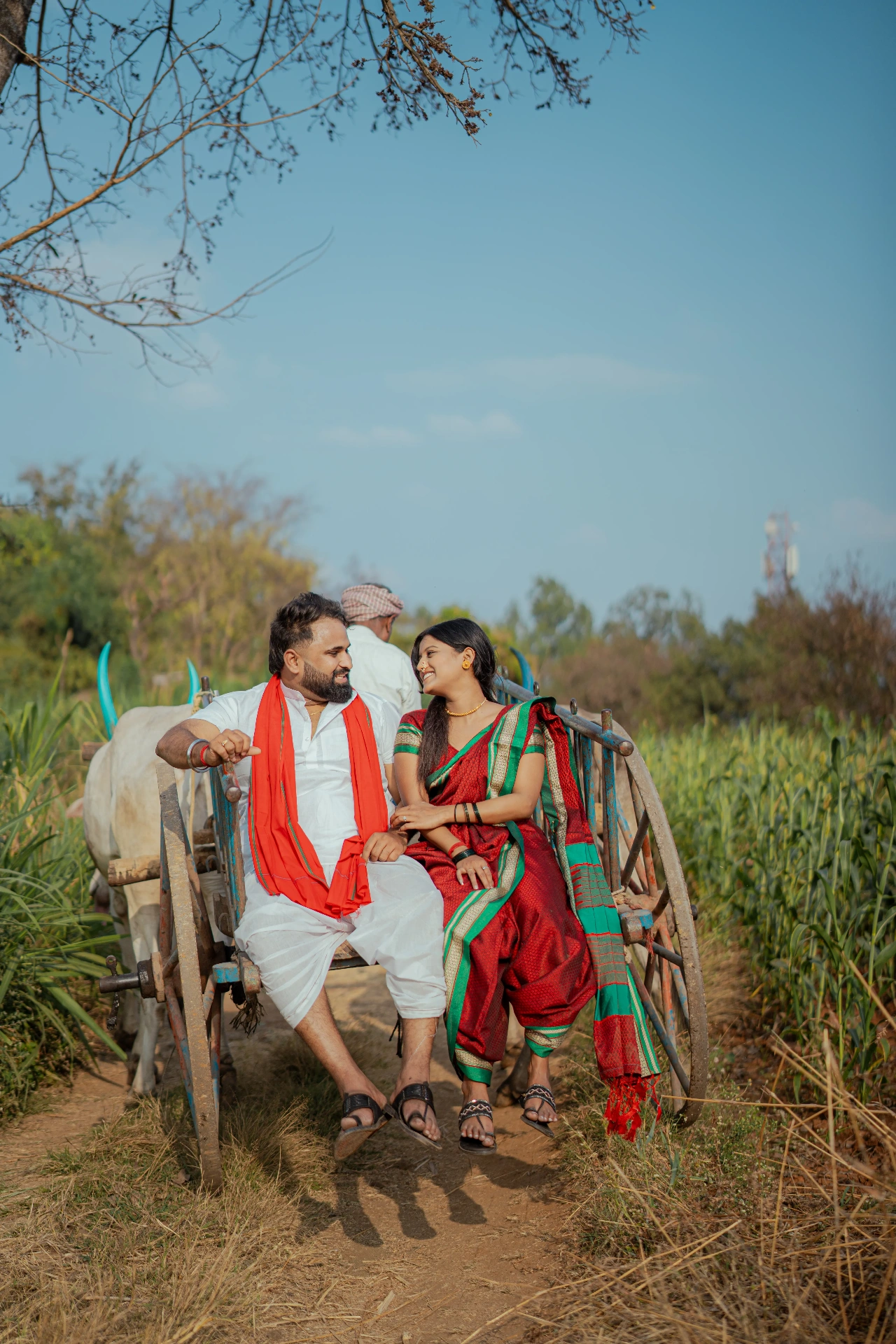 Bullock Cart Ride